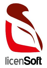 LoGo Licensoft – Small